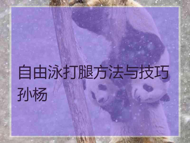 自由泳打腿方法与技巧孙杨