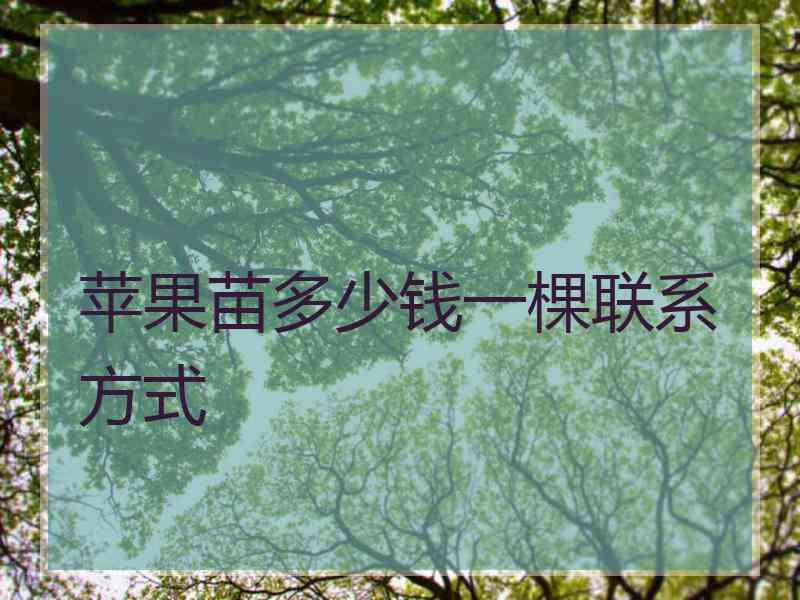 苹果苗多少钱一棵联系方式