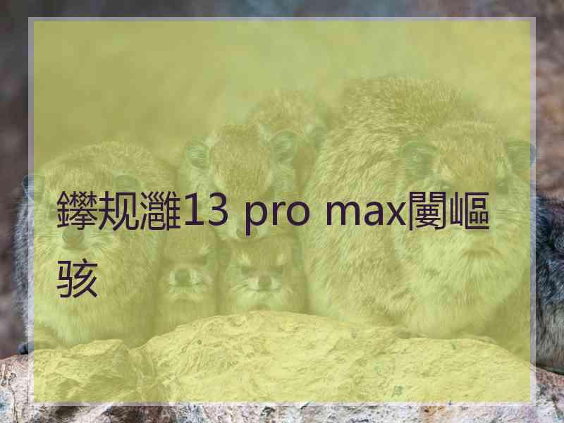 鑻规灉13 pro max闄嶇骇