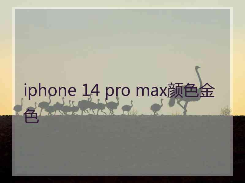 iphone 14 pro max颜色金色