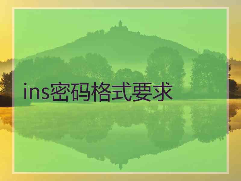 ins密码格式要求