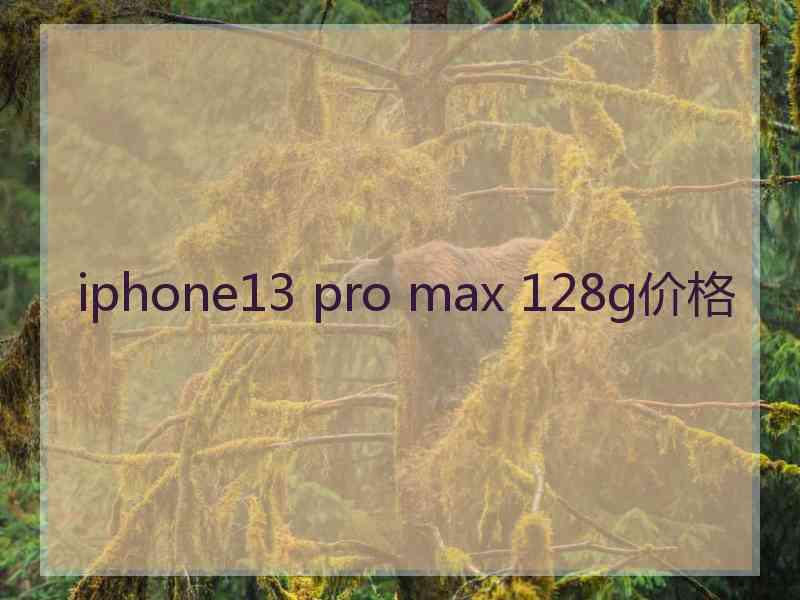 iphone13 pro max 128g价格