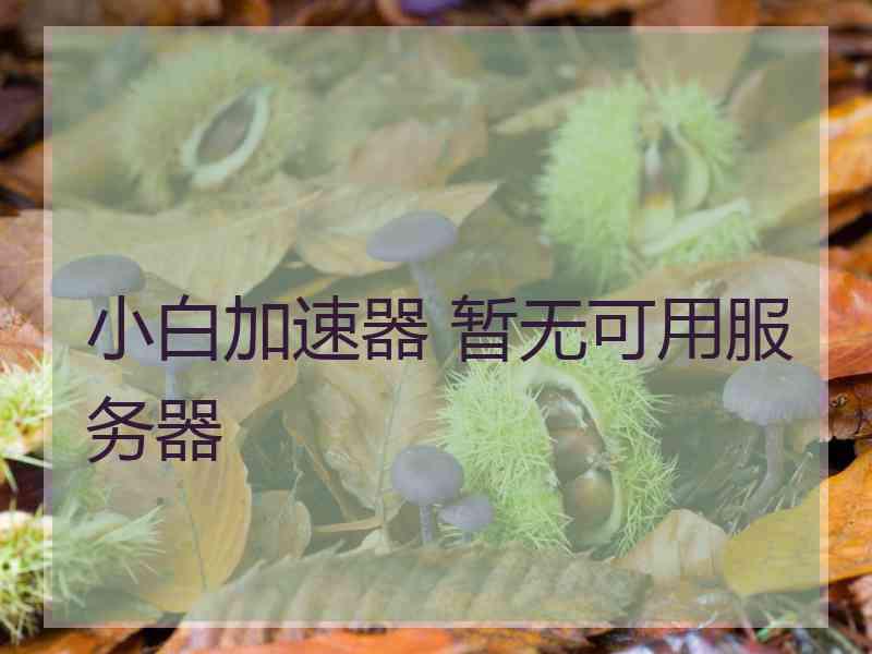 小白加速器 暂无可用服务器