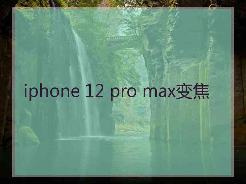 iphone 12 pro max变焦