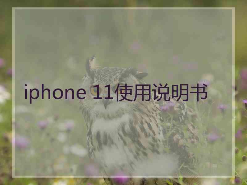 iphone 11使用说明书