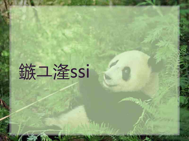 鏃ユ湰ssi