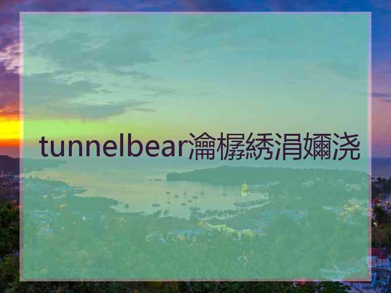 tunnelbear瀹樼綉涓嬭浇