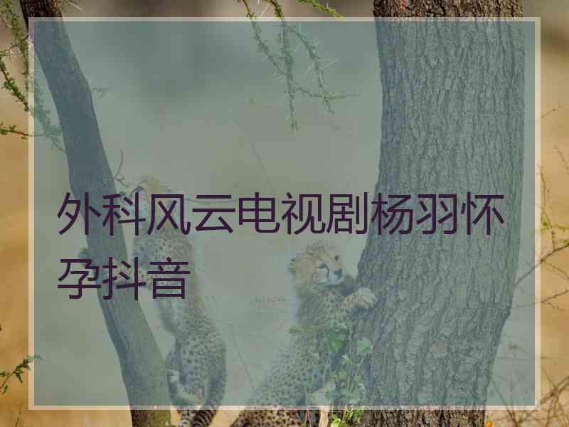 外科风云电视剧杨羽怀孕抖音