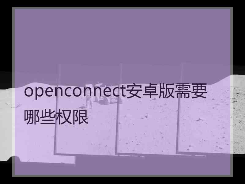 openconnect安卓版需要哪些权限