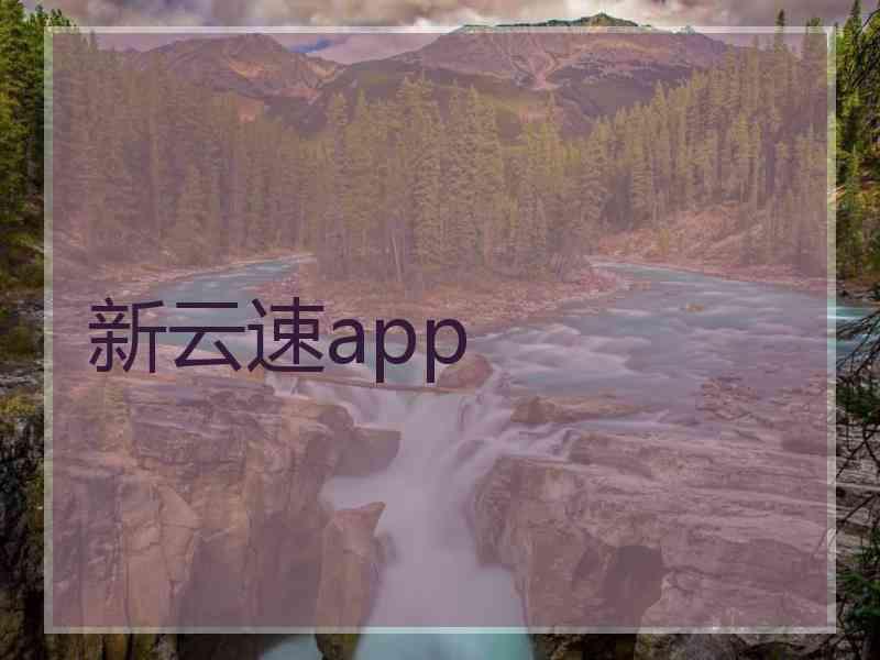 新云速app