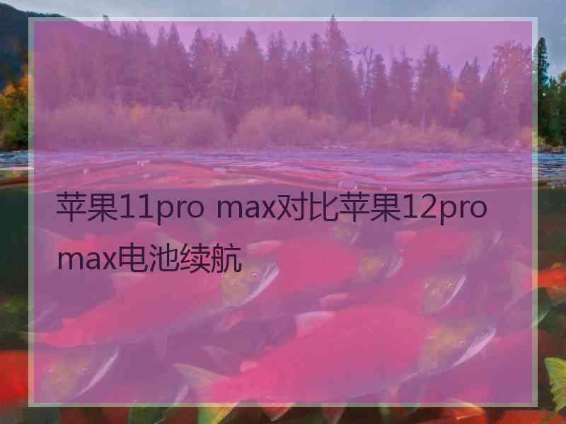 苹果11pro max对比苹果12promax电池续航