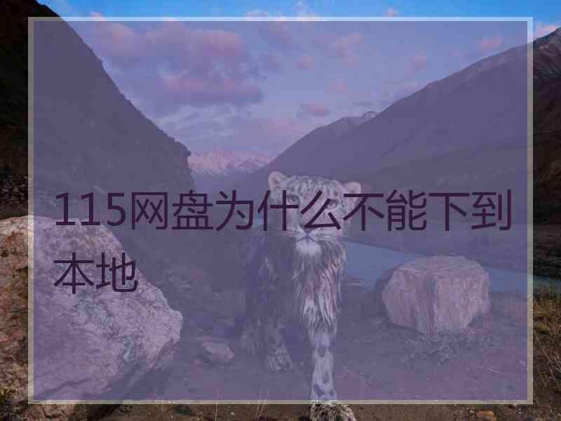 115网盘为什么不能下到本地