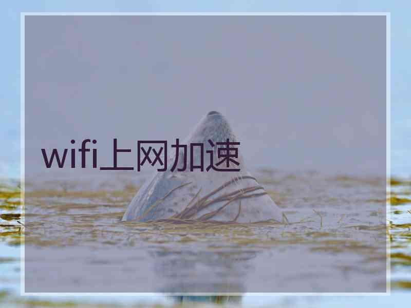 wifi上网加速