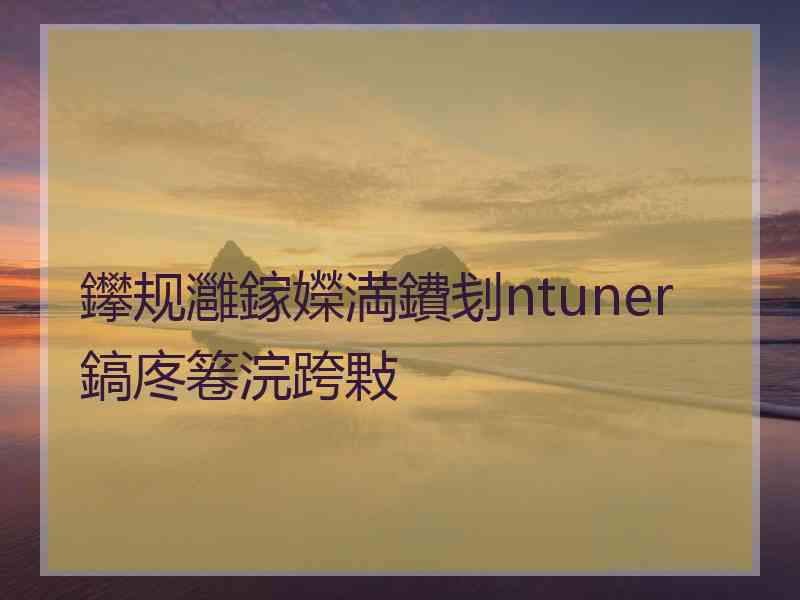 鑻规灉鎵嬫満鐨刬ntuner鎬庝箞浣跨敤