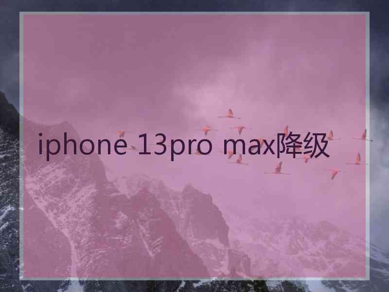 iphone 13pro max降级