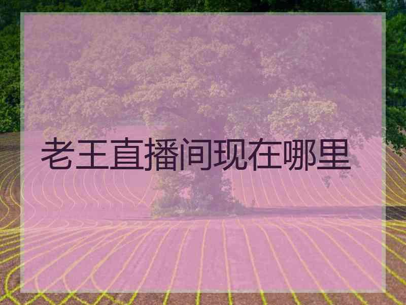 老王直播间现在哪里