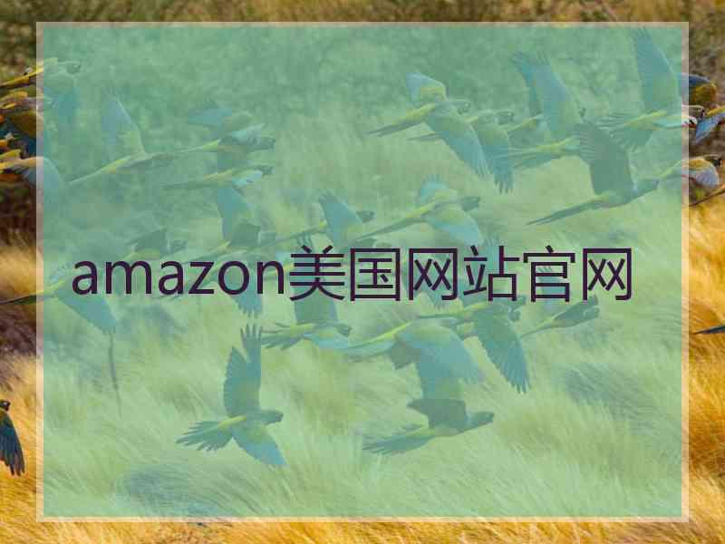 amazon美国网站官网