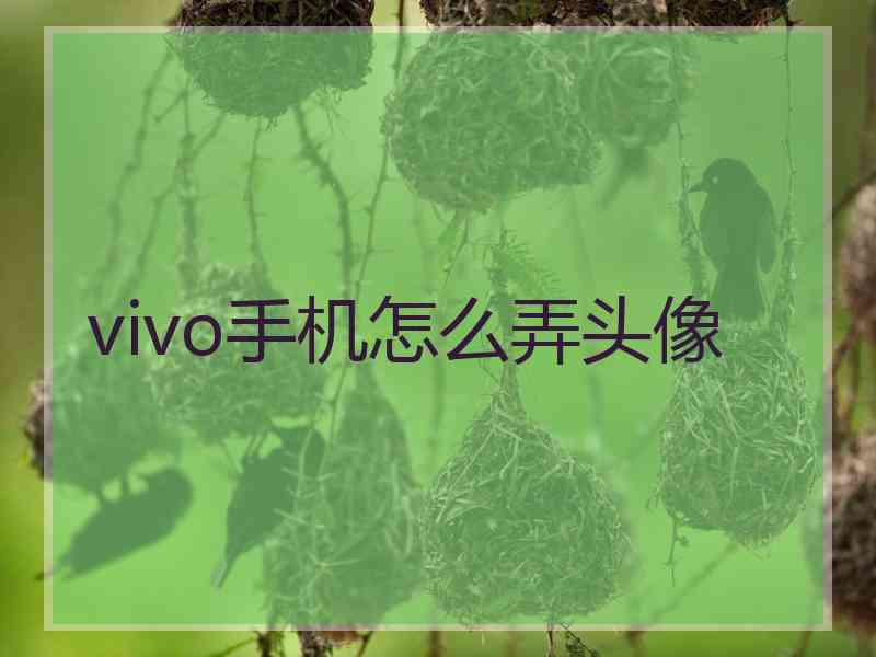 vivo手机怎么弄头像