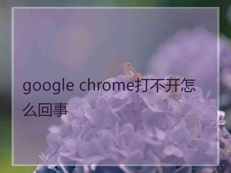 google chrome打不开怎么回事