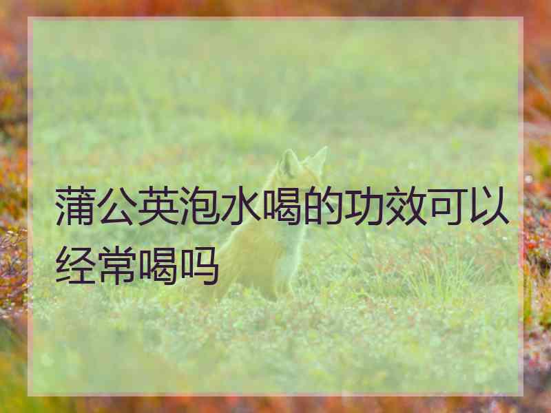 蒲公英泡水喝的功效可以经常喝吗