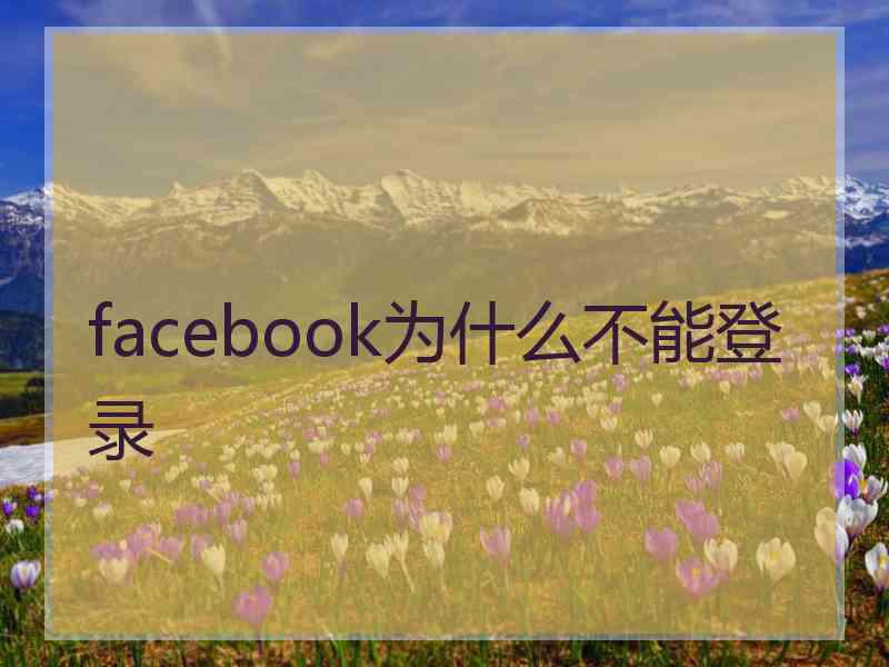 facebook为什么不能登录