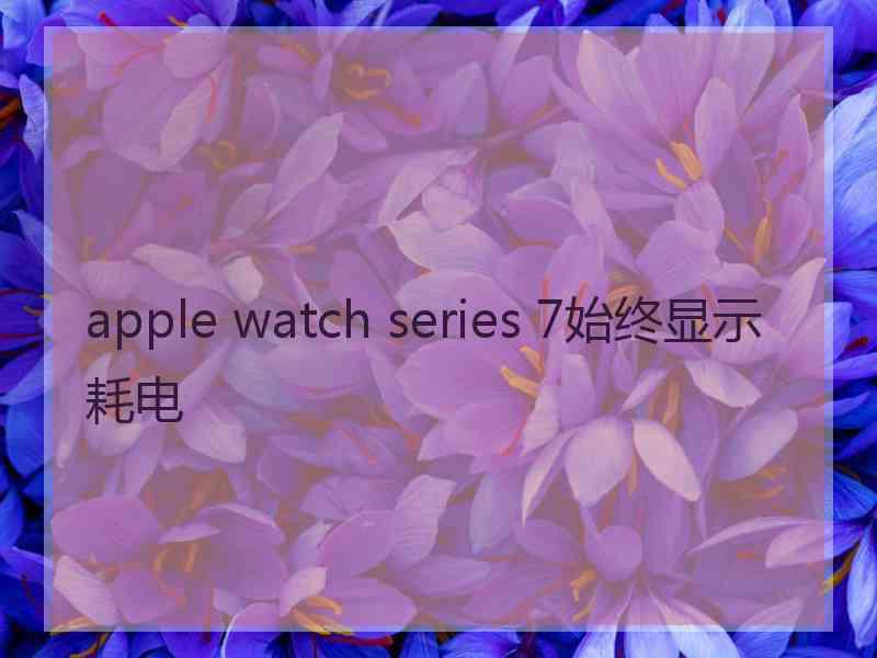 apple watch series 7始终显示耗电