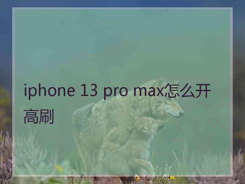 iphone 13 pro max怎么开高刷