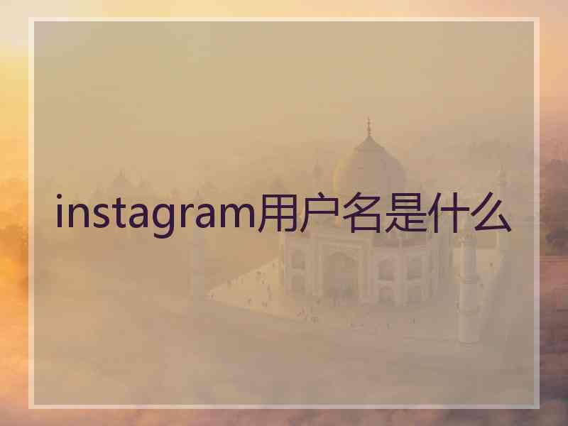 instagram用户名是什么