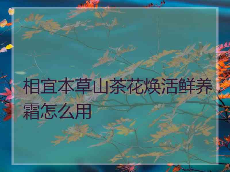 相宜本草山茶花焕活鲜养霜怎么用