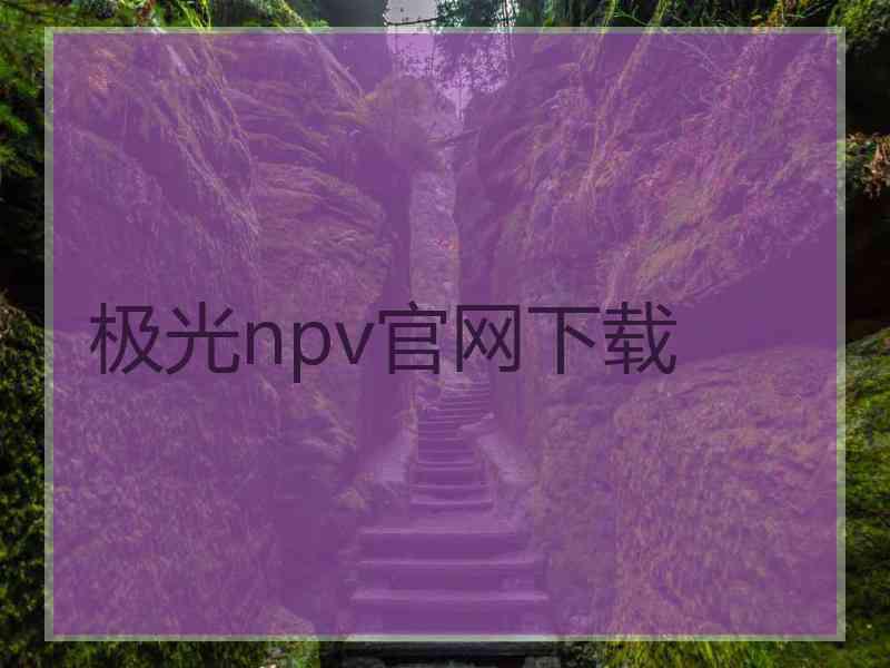 极光npv官网下载