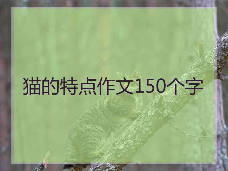 猫的特点作文150个字