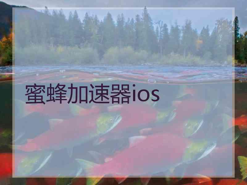 蜜蜂加速器ios