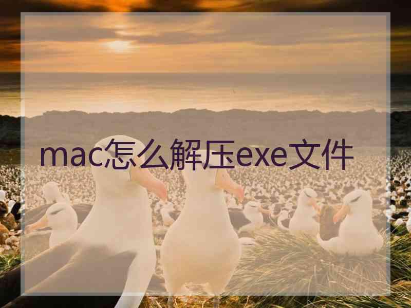 mac怎么解压exe文件