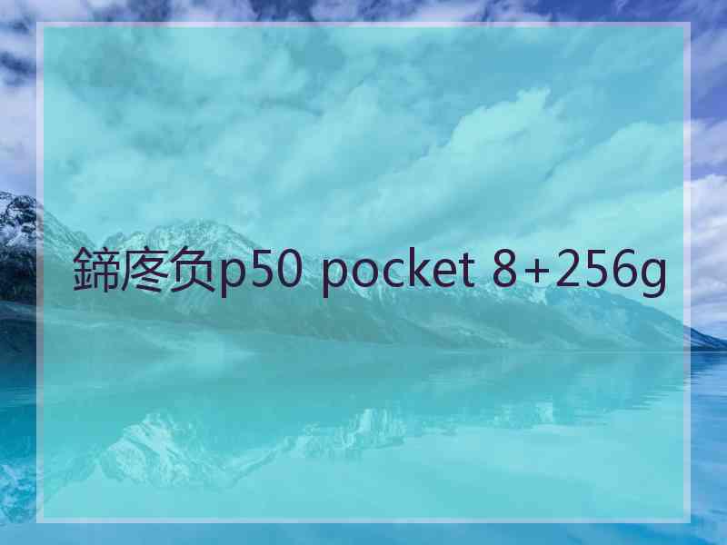 鍗庝负p50 pocket 8+256g