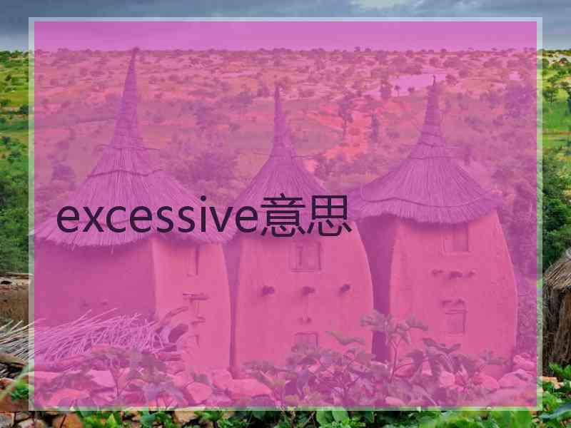 excessive意思