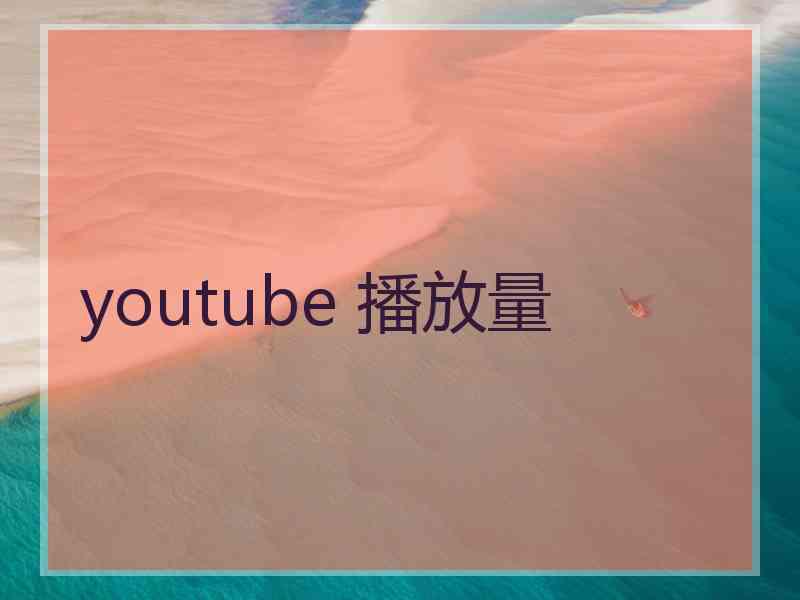 youtube 播放量