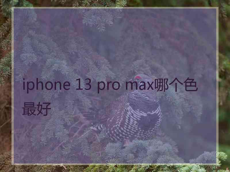 iphone 13 pro max哪个色最好