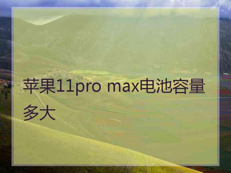 苹果11pro max电池容量多大