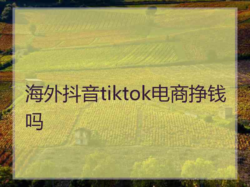 海外抖音tiktok电商挣钱吗