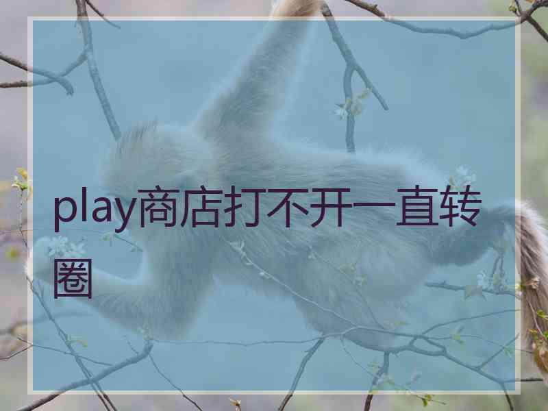 play商店打不开一直转圈