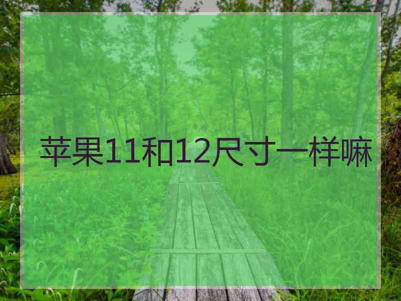 苹果11和12尺寸一样嘛