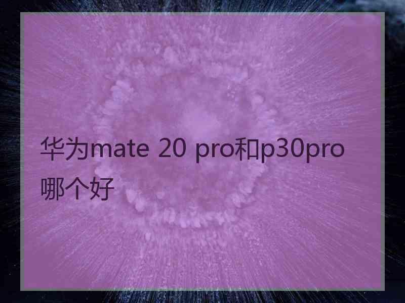 华为mate 20 pro和p30pro哪个好