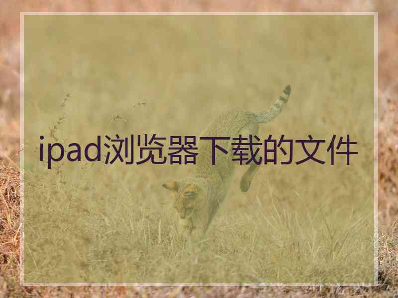 ipad浏览器下载的文件