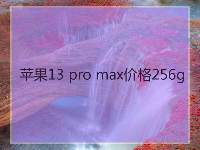 苹果13 pro max价格256g