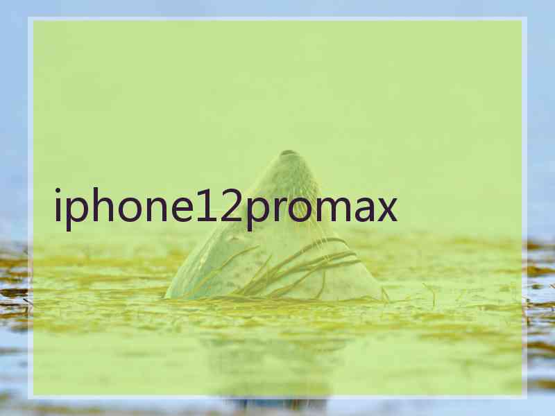 iphone12promax