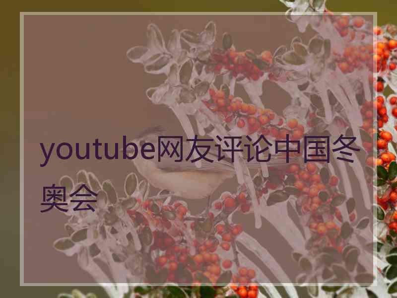 youtube网友评论中国冬奥会