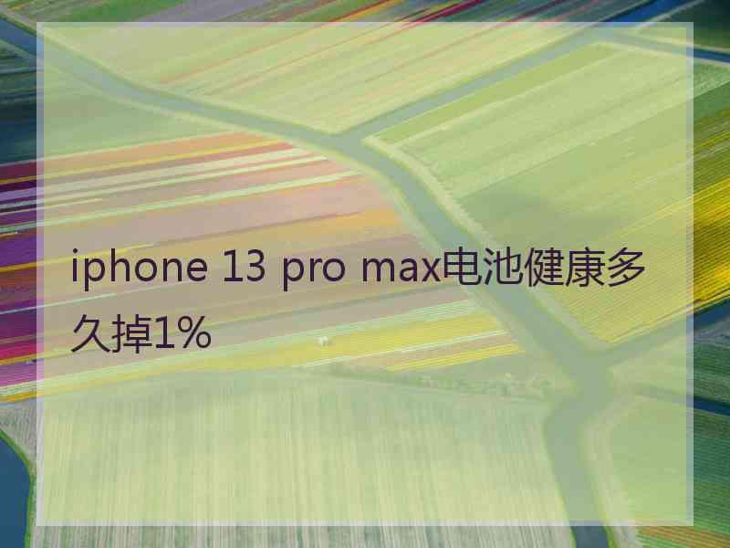 iphone 13 pro max电池健康多久掉1%