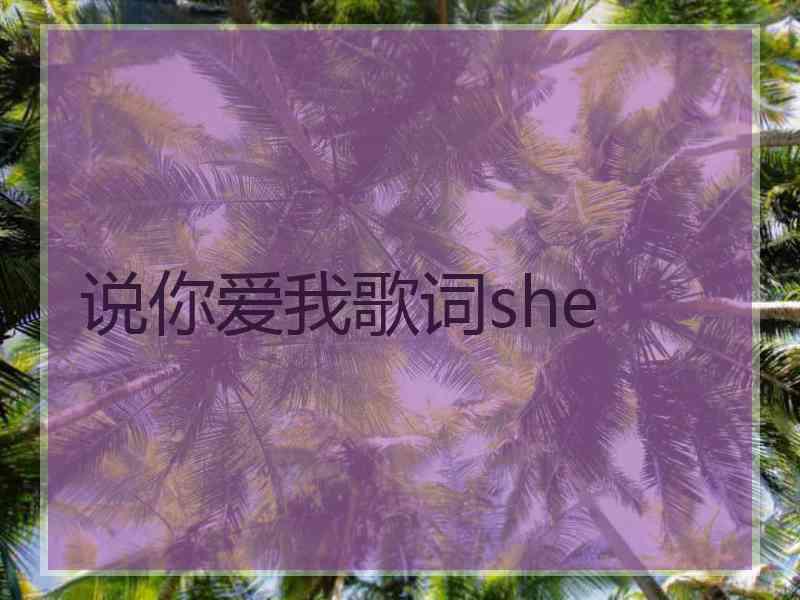 说你爱我歌词she