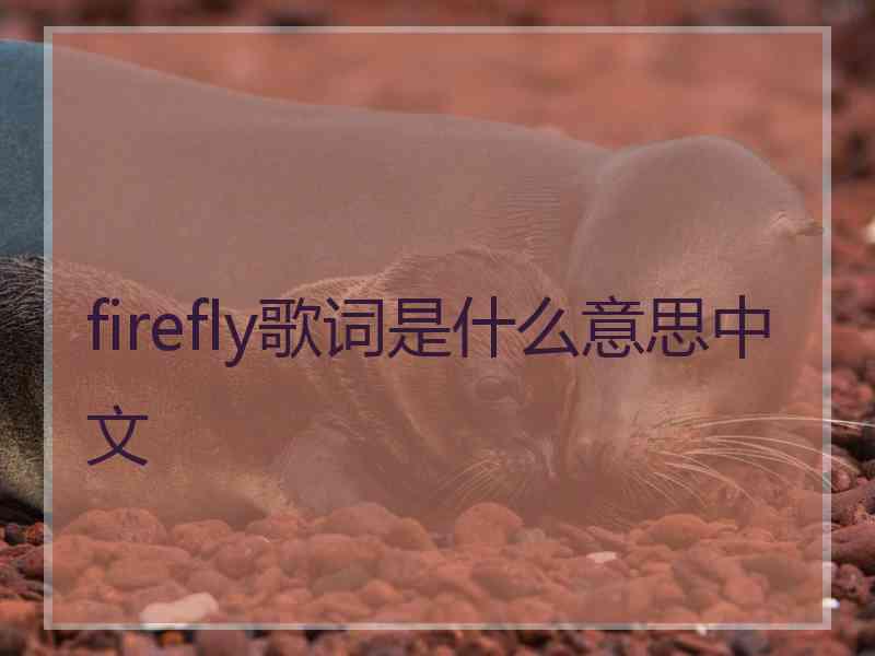 firefly歌词是什么意思中文