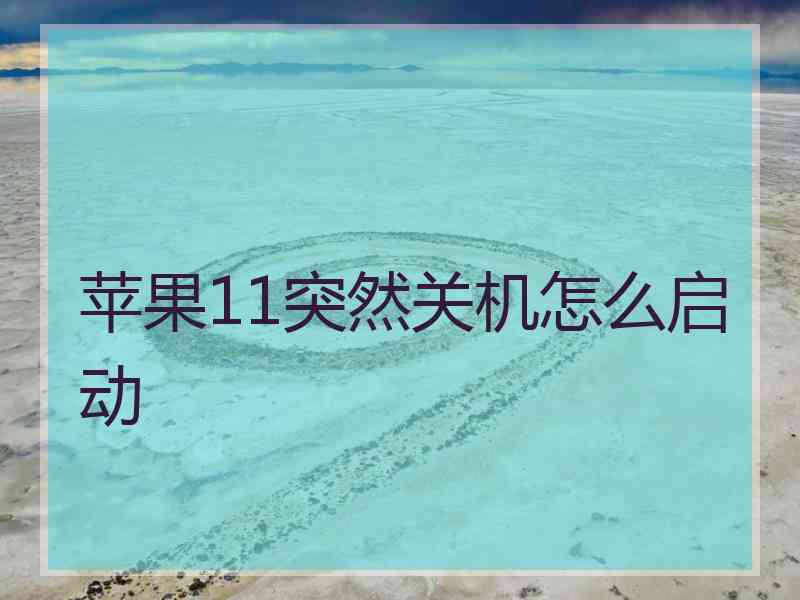 苹果11突然关机怎么启动